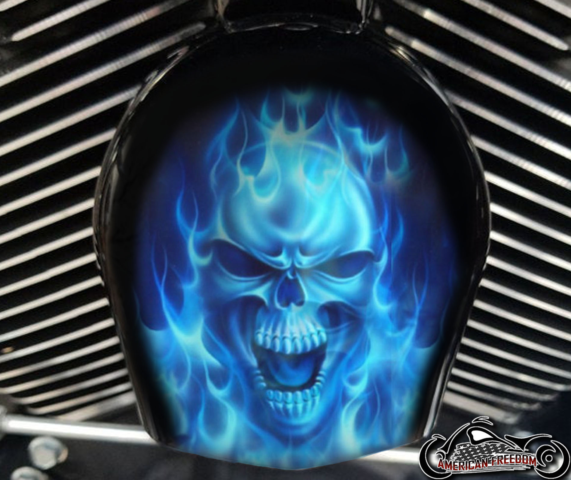 Custom Horn Cover - Blue Flame Skull - Click Image to Close